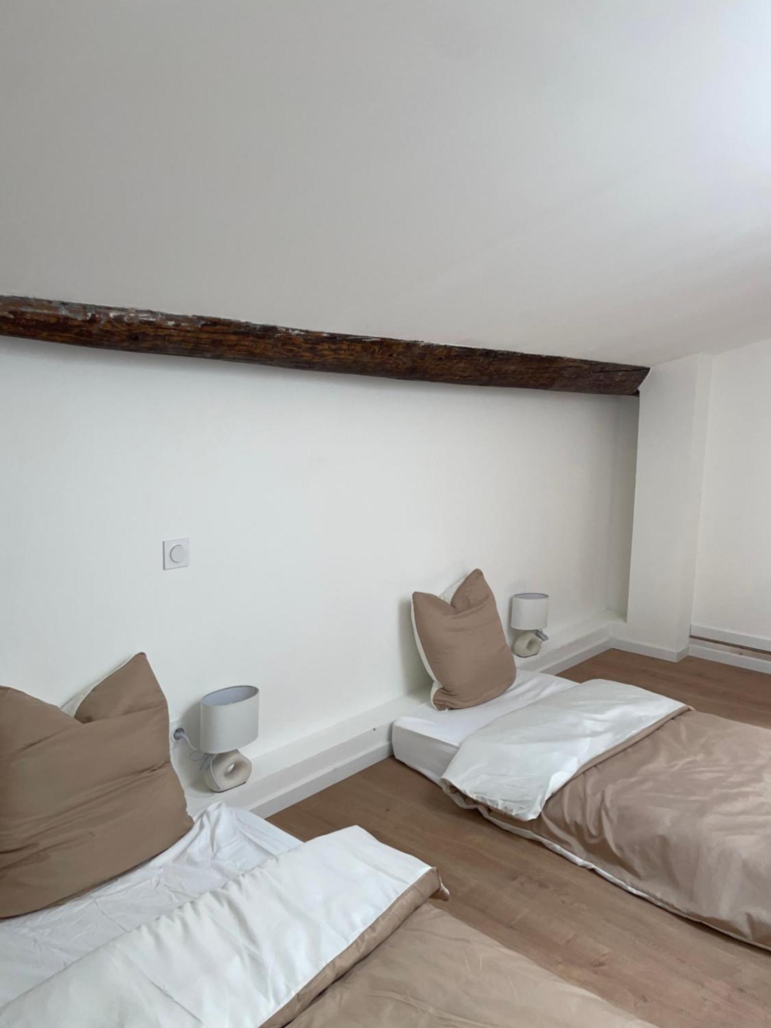 Duplex Raffine, Elegant & Climatise - La Mezz Apartment Nimes Luaran gambar